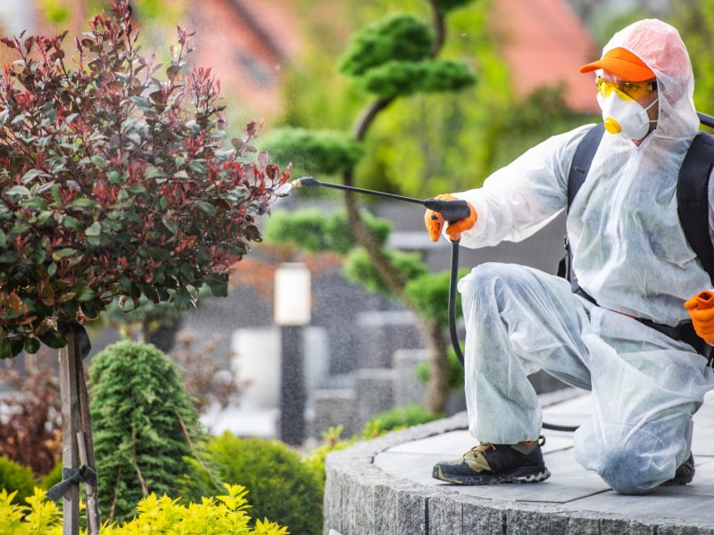 Çamlıdere Haşere İlaçlama